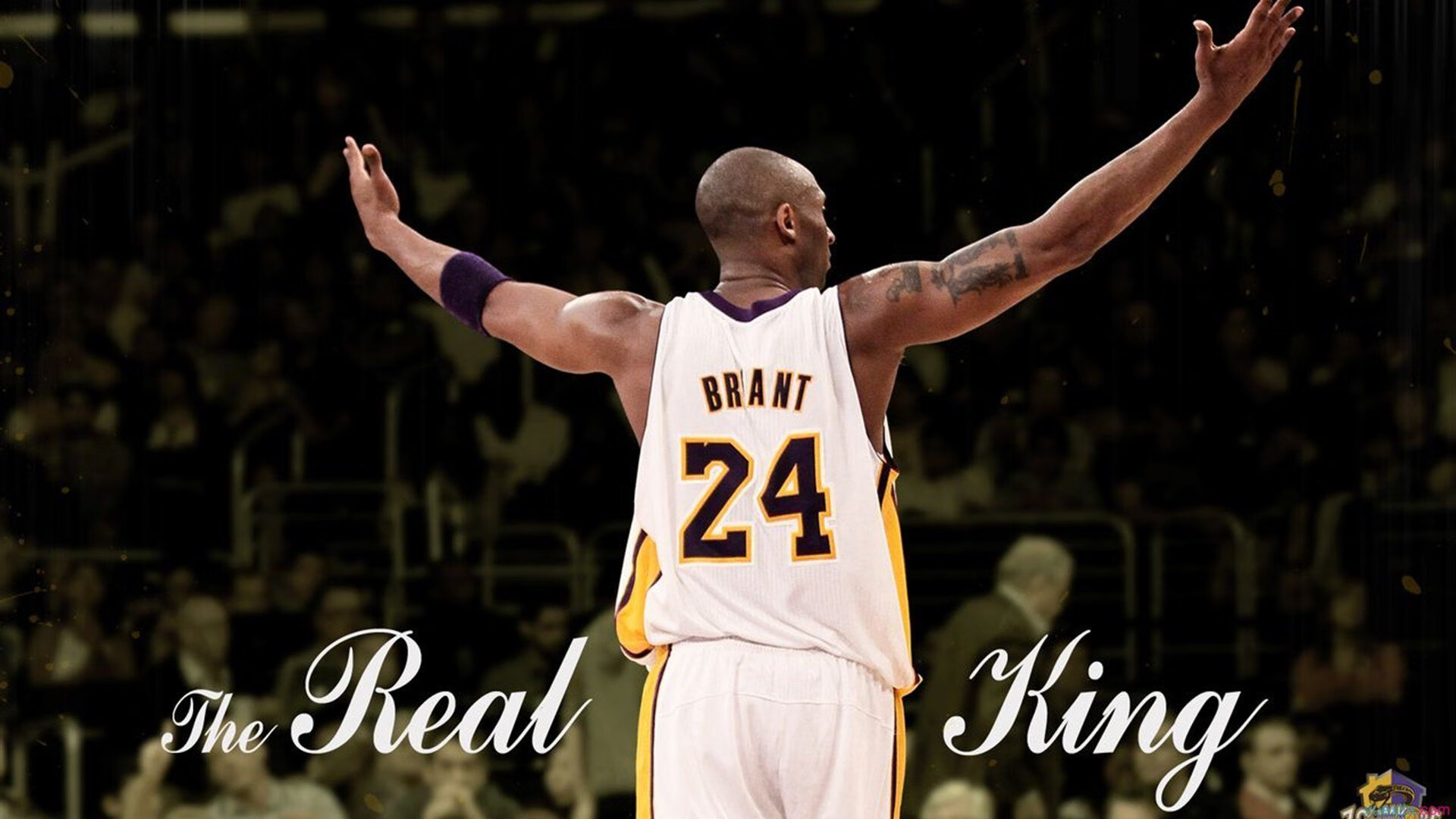 开云体育APP下载-《顶级战队背后的故事：他们的训练与战术哲学》，战队顶级猎杀